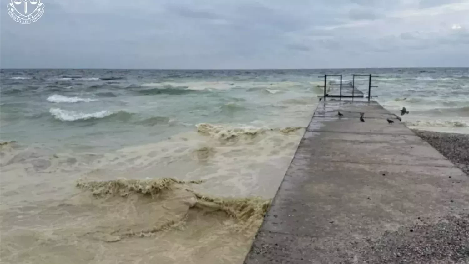 312718_694e90f1e04048_42438107_1500