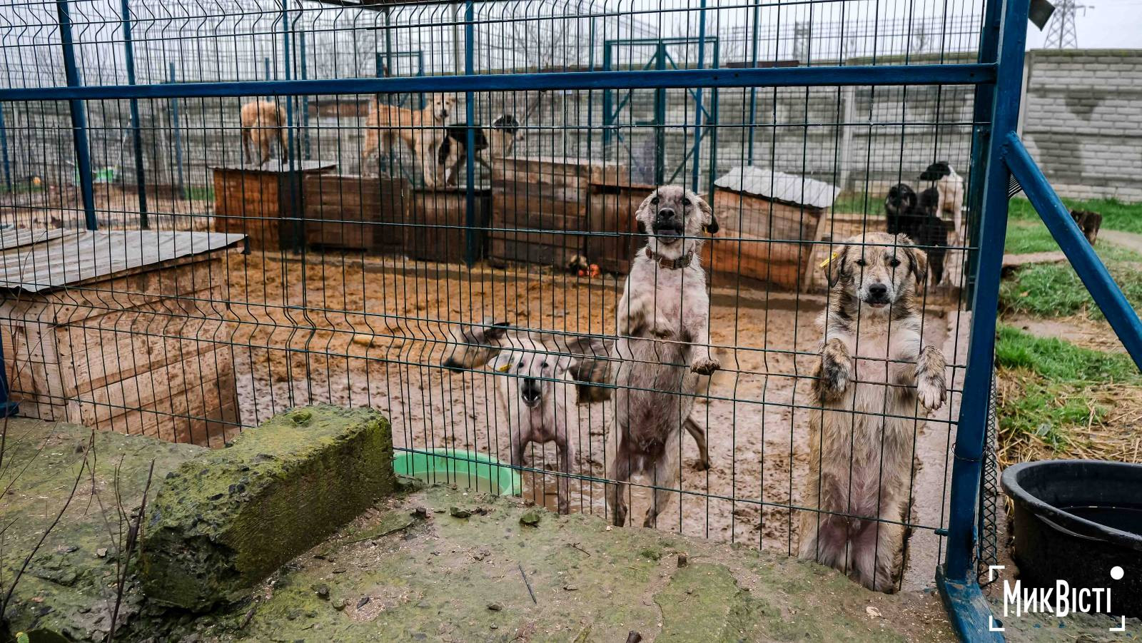 312837_6953b9c4be9de3_02281950