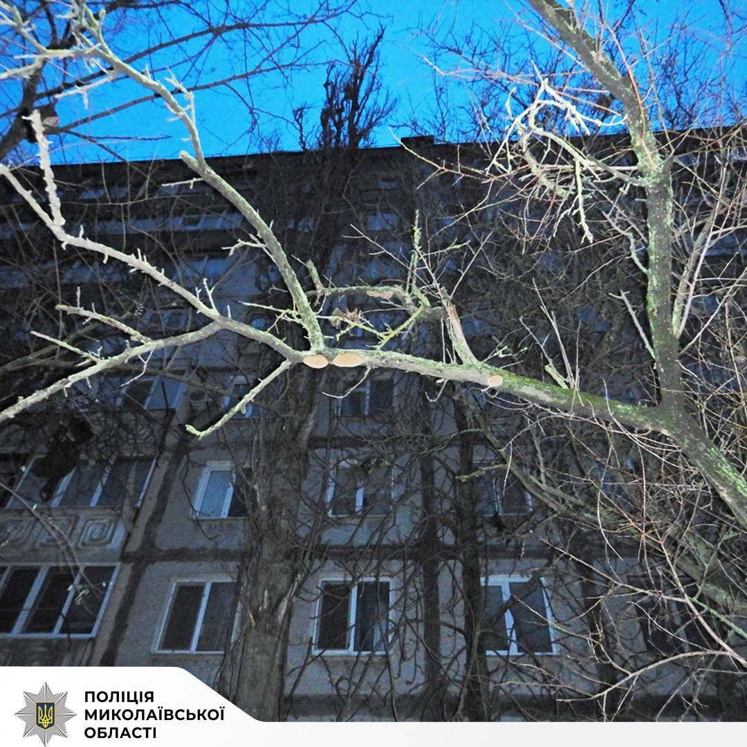 599512033_1177005107957137_9056990125785891259_n