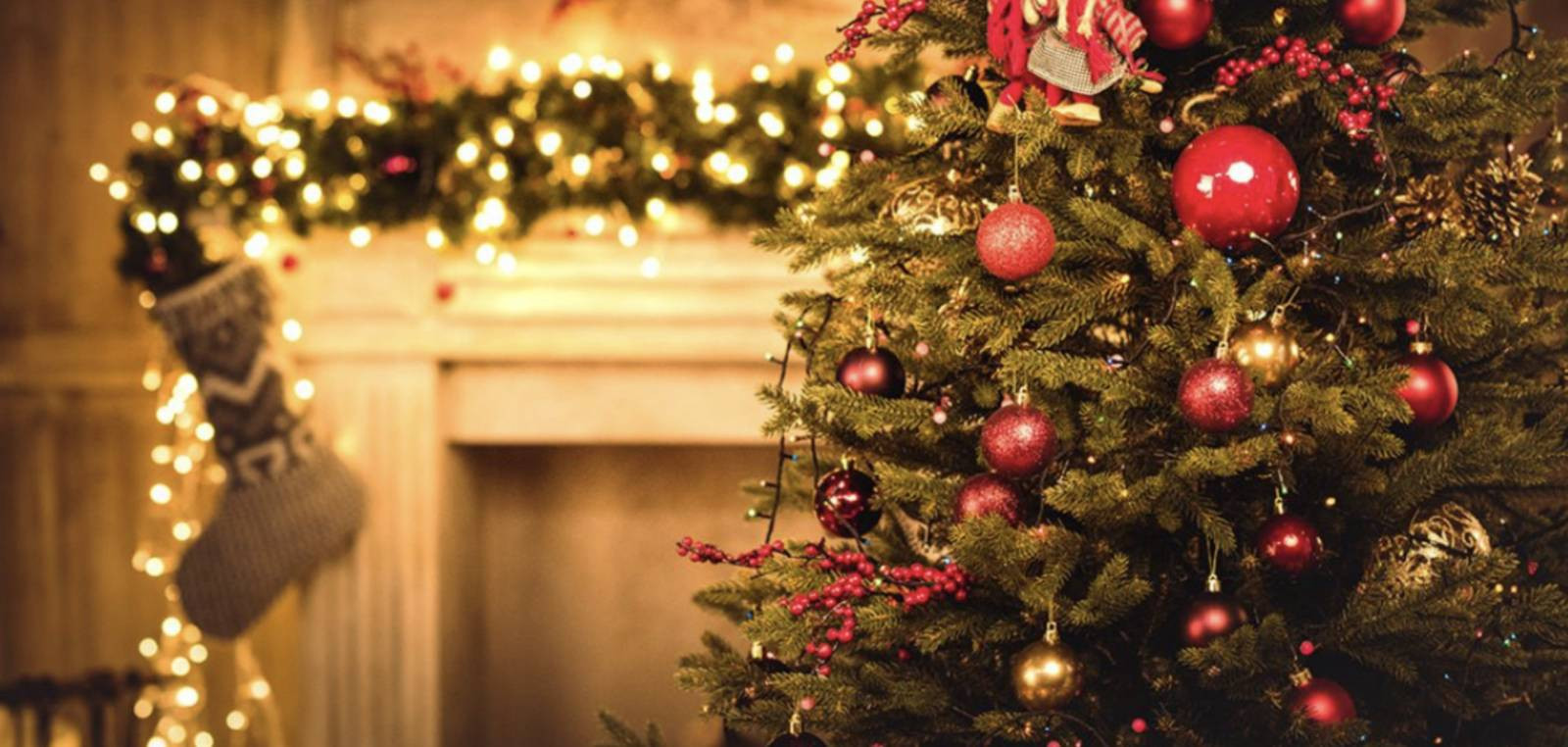 Снимок экрана 2025-12-20 в 19.01.15