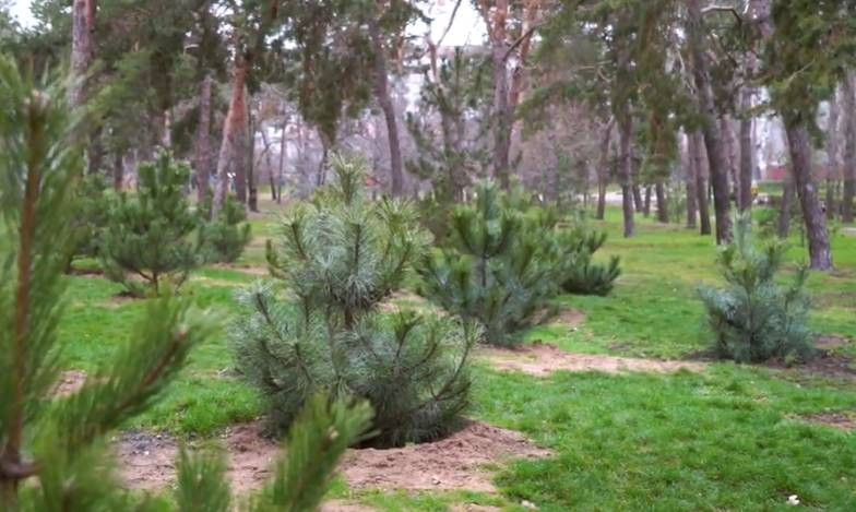 Знімок екрана 2025-12-08 223421