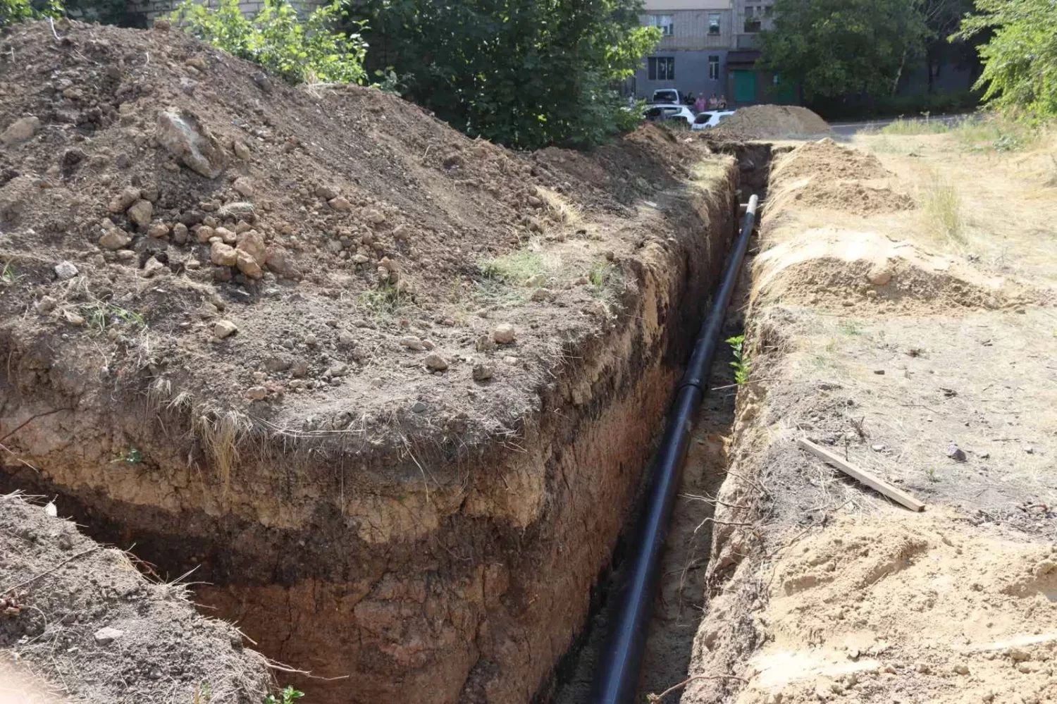 313100_695fa29fe3ca53_82973465_1500