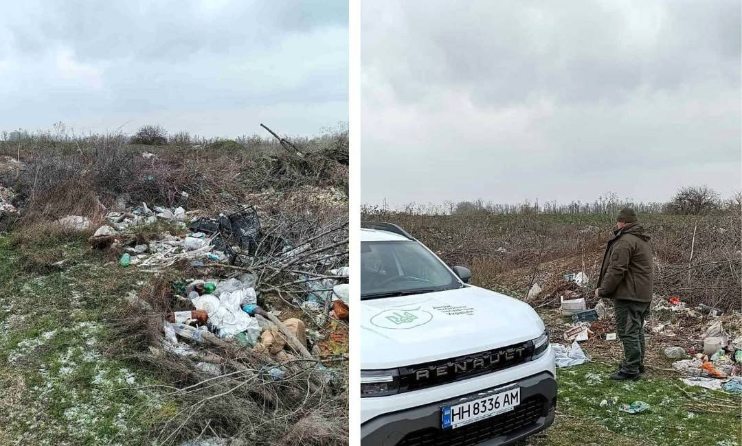 313169_696155c89b2e48_51878670