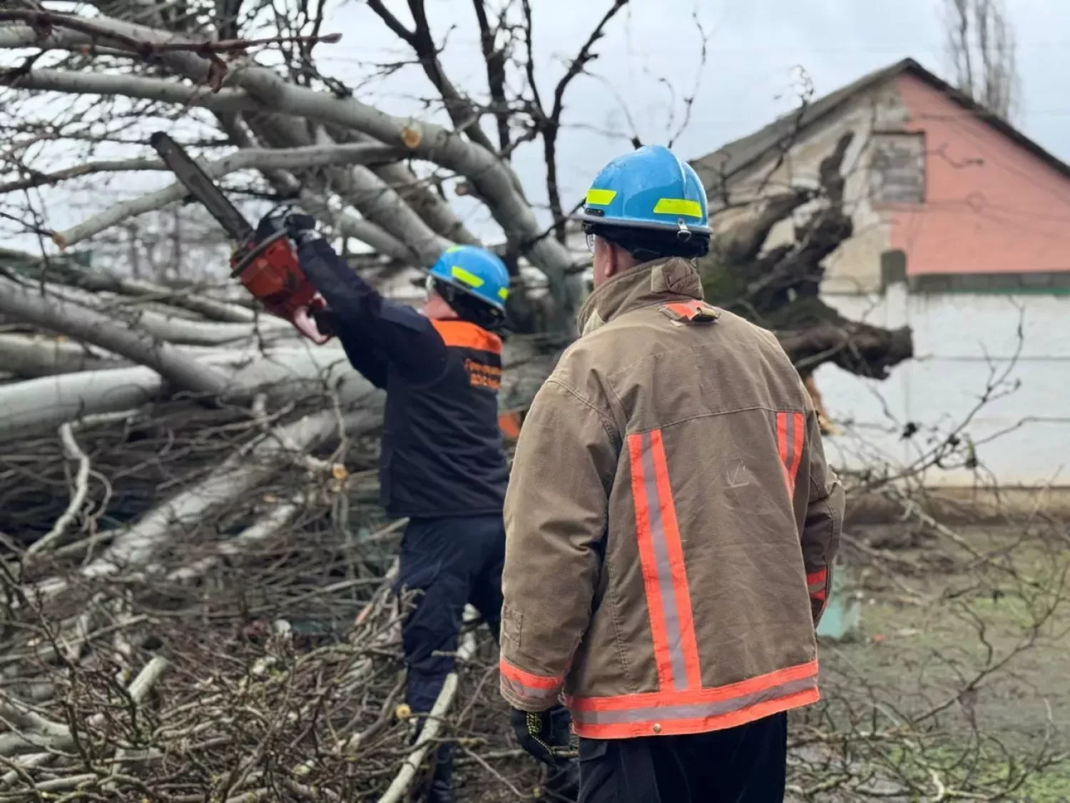 313363_696784d4363ba0_11756419_1500