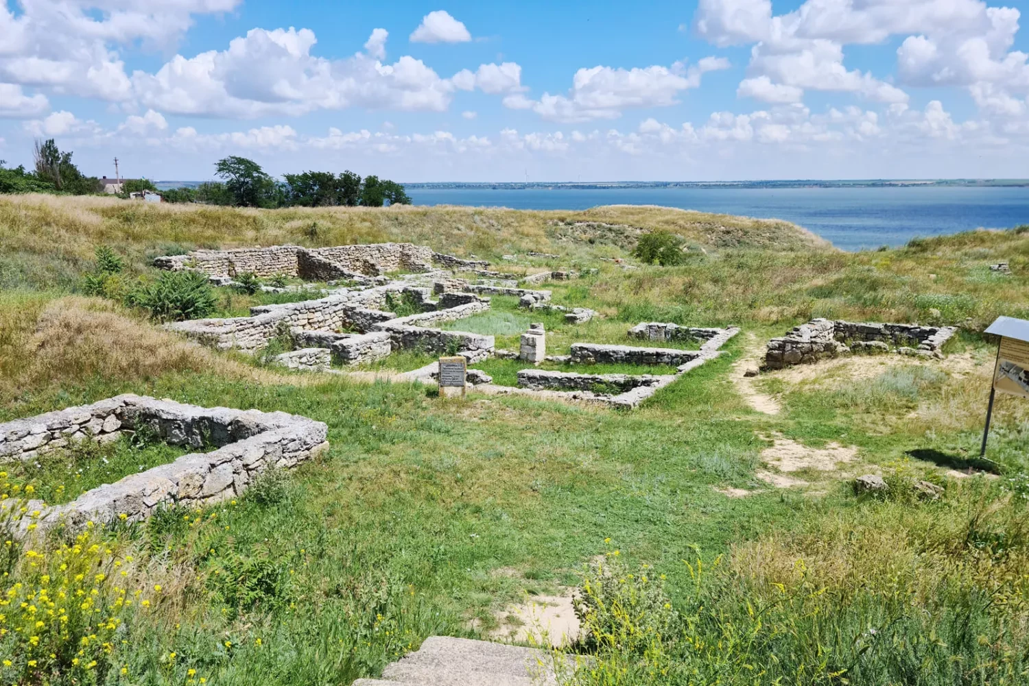 313501_696bb9ad58a8e9_88232362_1500