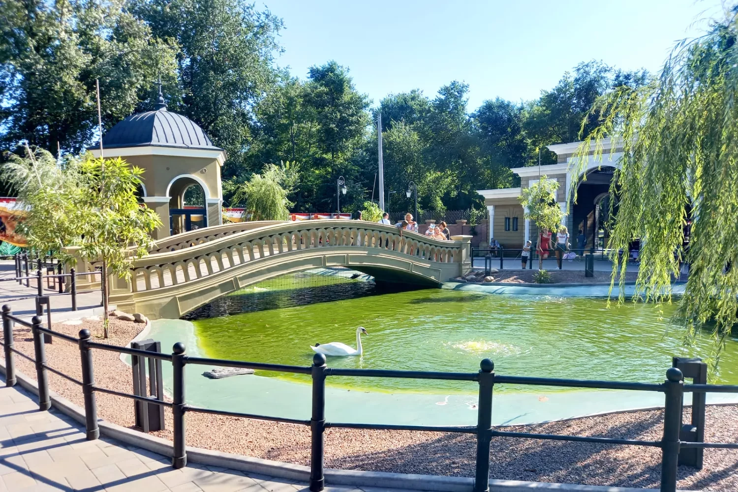 313691_6971f8544e82d1_04893696_1500