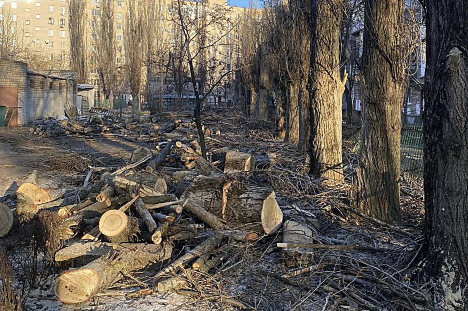 Снимок экрана 2026-01-24 в 15.42.34