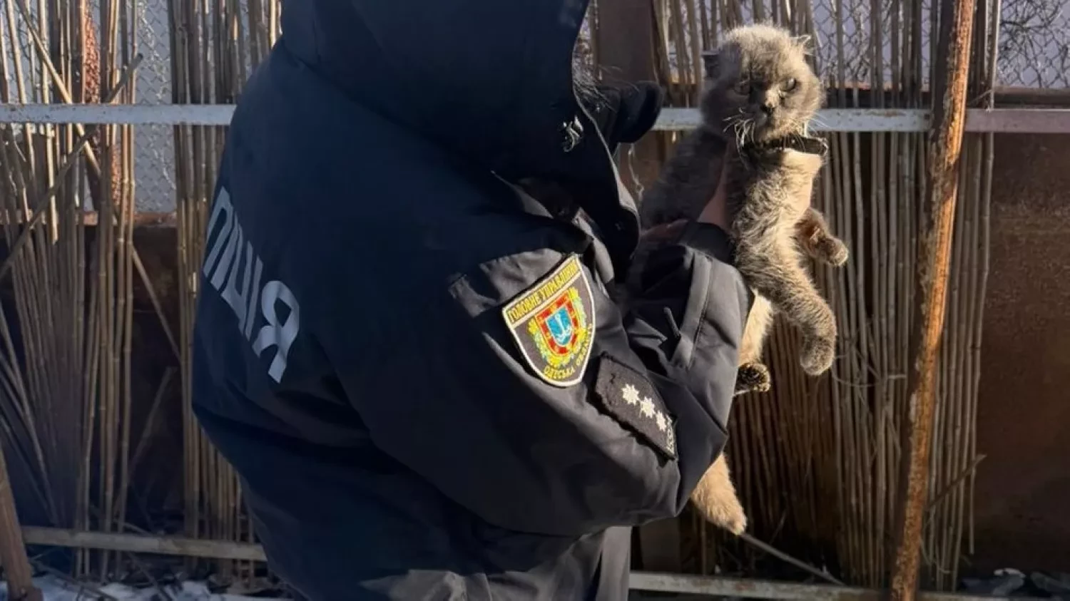 314799_698c57ef3b4c13_74111505_1500