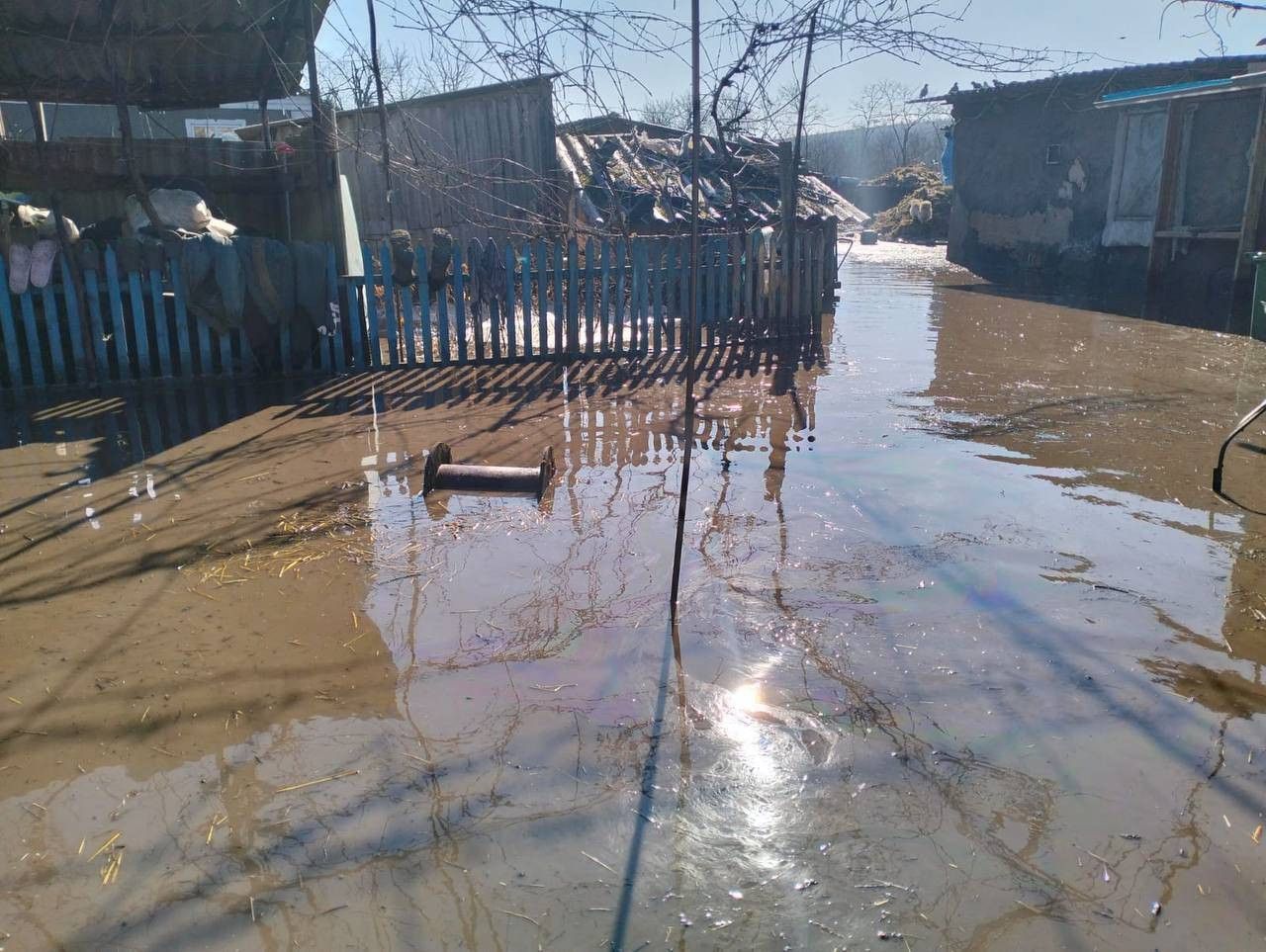 315016_6993264e9d9385_87601698