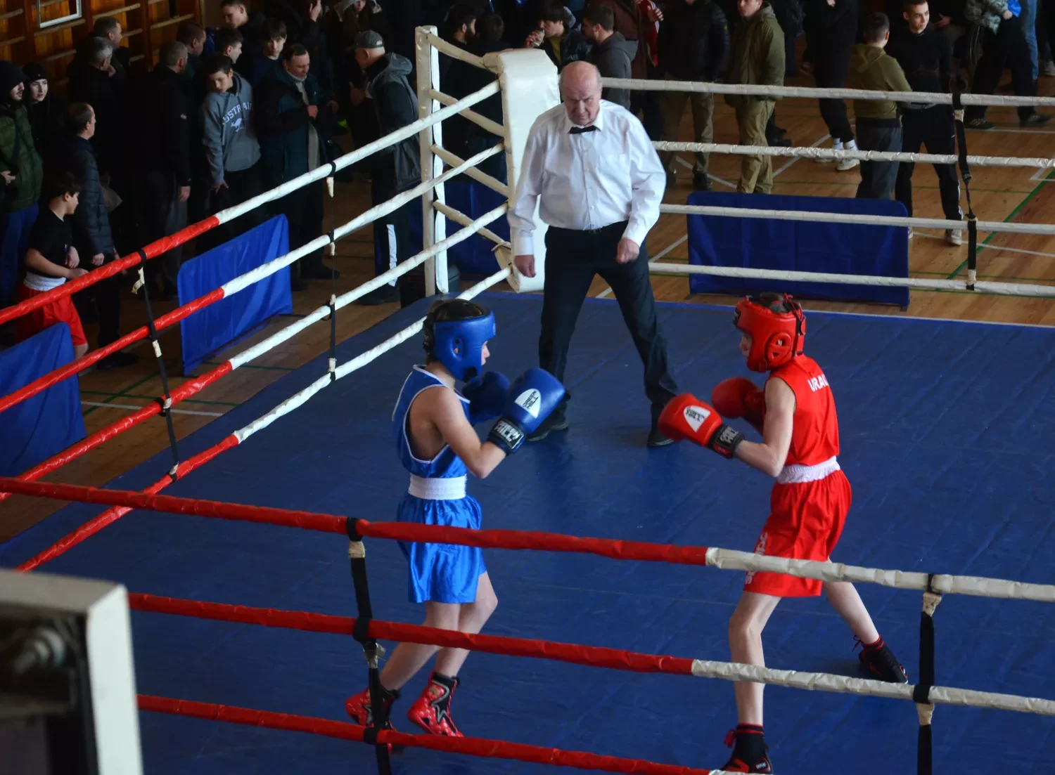 315186_69980a11c03139_92414546_1500