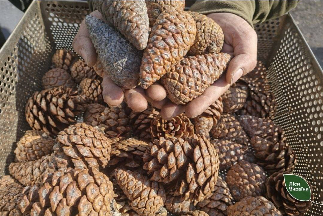 638488488_913334314988834_3729784617238770846_n