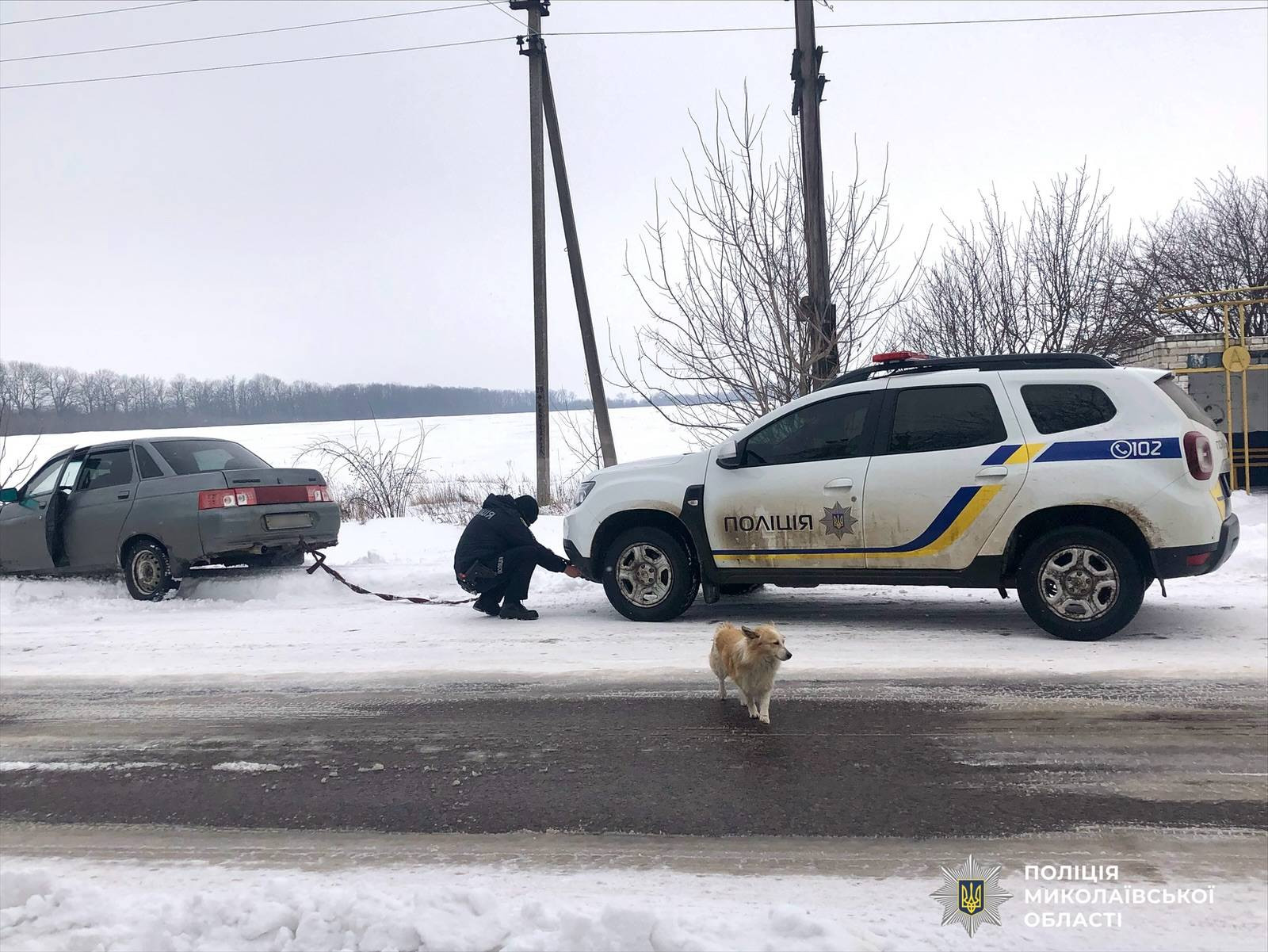 639777908_1232229325768048_8558025227361034994_n