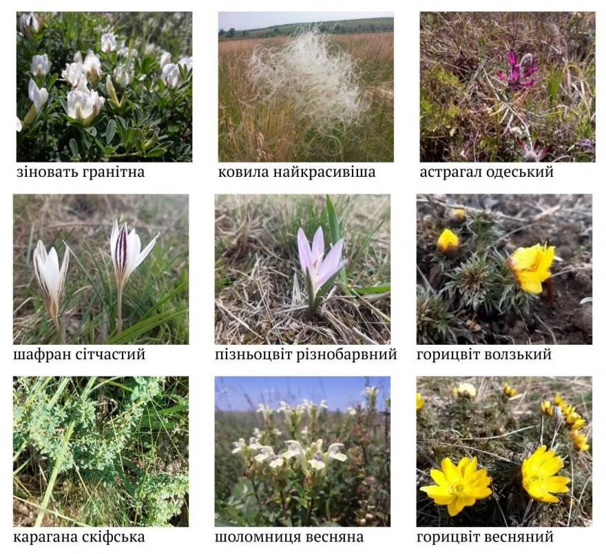 643722876_1326451229516687_1403776663224703341_n