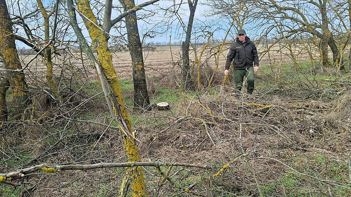 12d3855f13e5830d9e5d059c69abff98.i999x999x670E