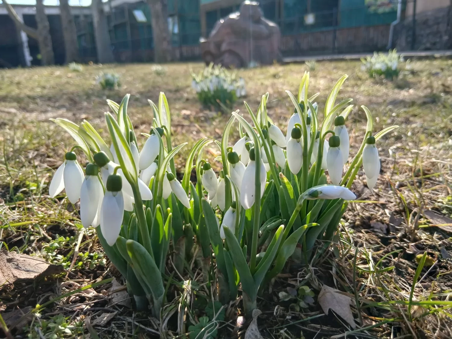 315559_69a4440b4a67a9_04108585_1500