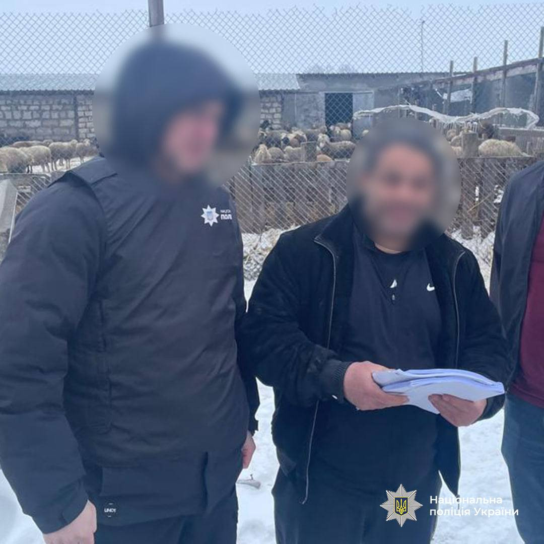 315880_69b0286106efb8_10786993