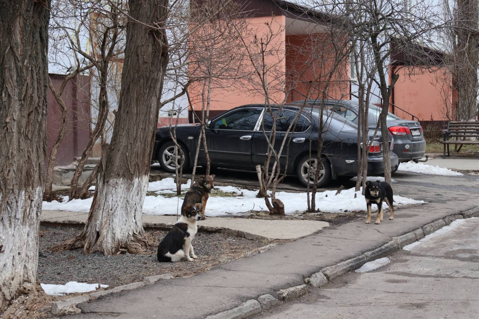 316085_69b7eef7ae5f18_13866935