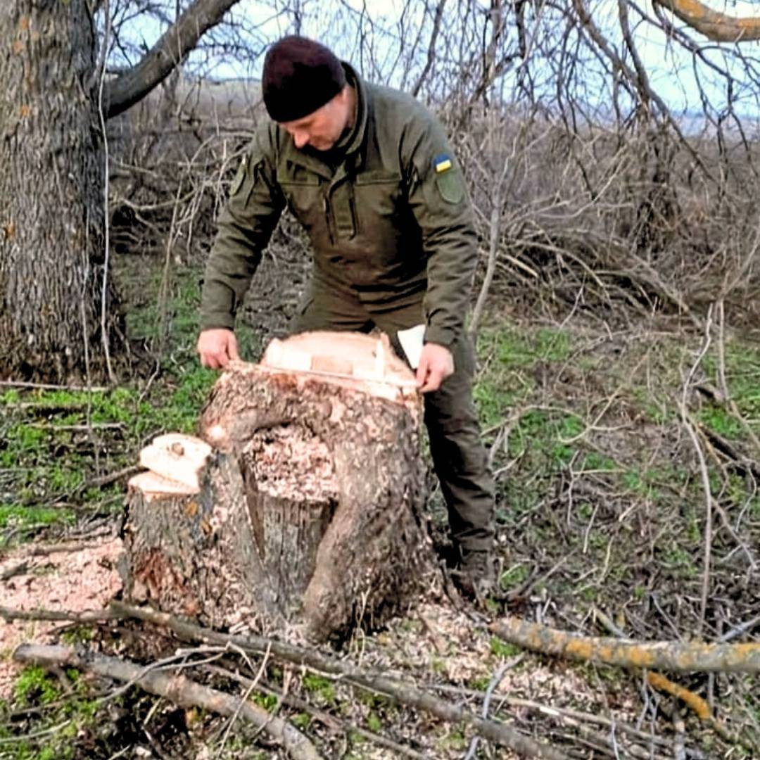 656955392_928380576569786_8309187562998855492_n