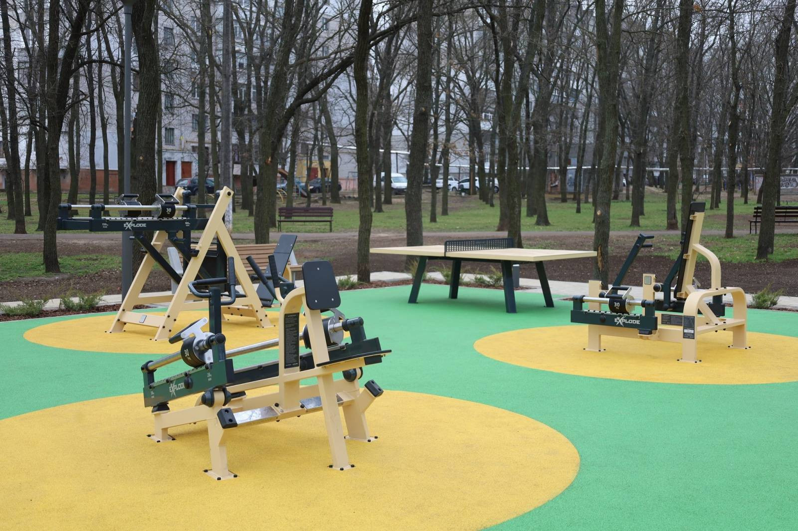 658149966_1239307711718002_2590084745481448003_n