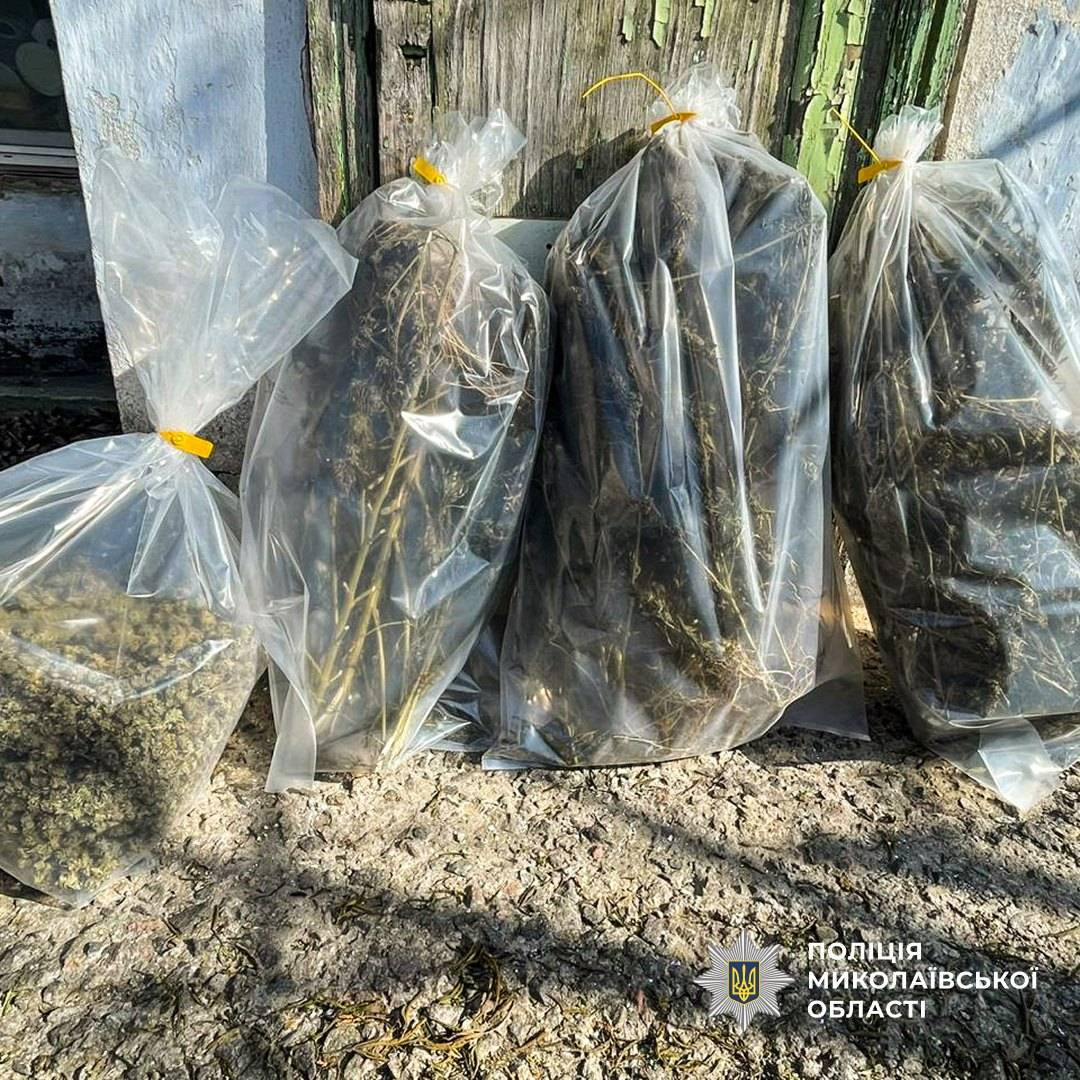 663321661_1262520266072287_1013708442954699791_n