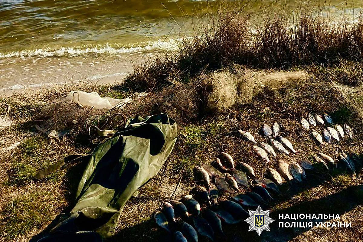 7fa8540d5baae83f5215c464ac0a417e.i999x999x670