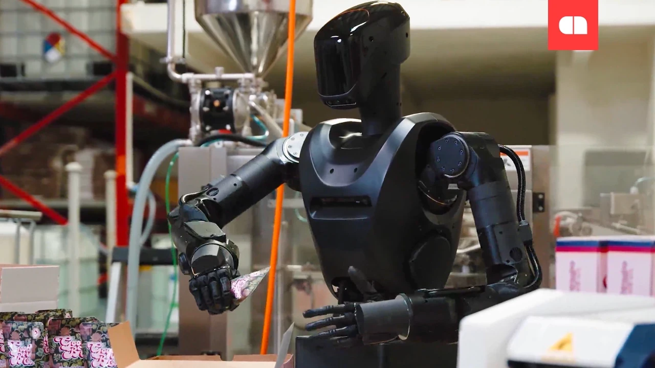 8nvogfPjmapTDpTpC2G5XoZ9zlgEWQIswqpH7NcZ