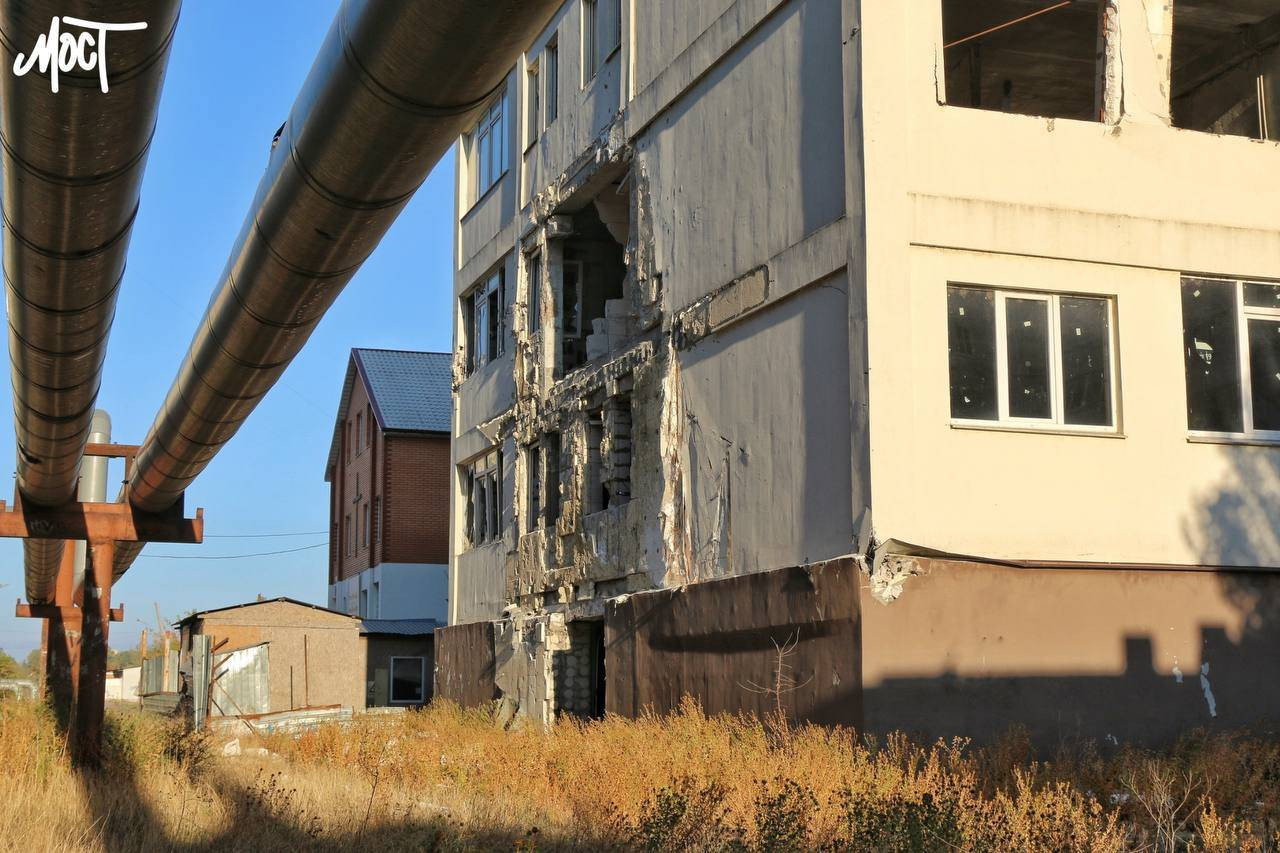 photo_5348454385400800585_y