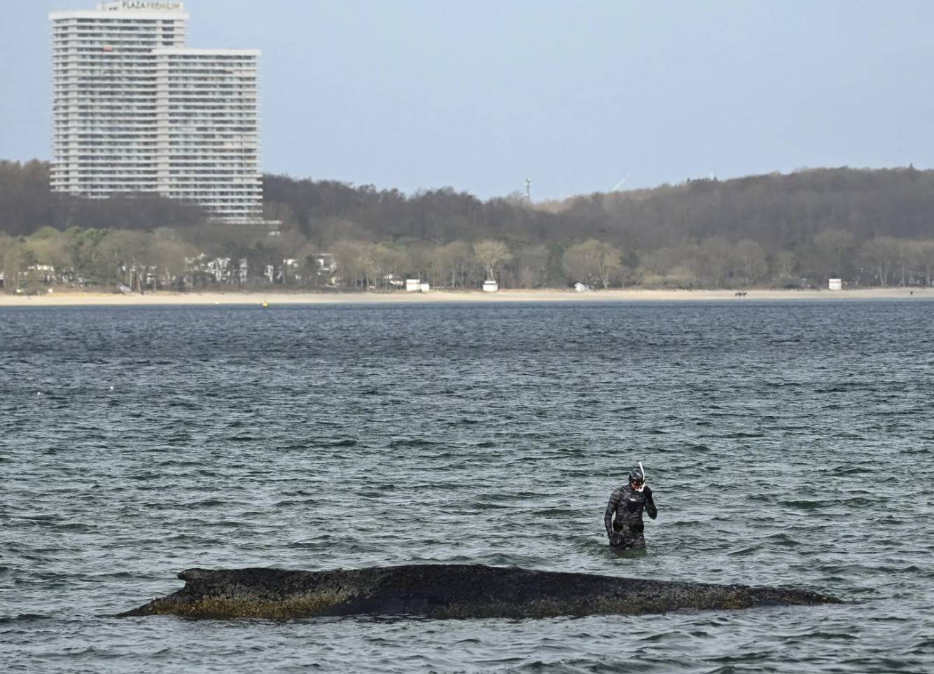 Снимок экрана 2026-03-27 в 21.48.22