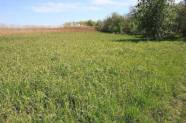 0771dc1ec67fed944b0e921032253ea6.i999x999x670E