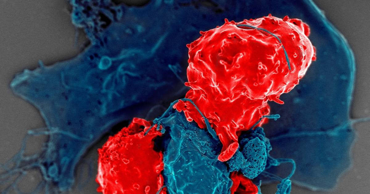 0b3be39b79a603bb88dbcb4b086cc1b8