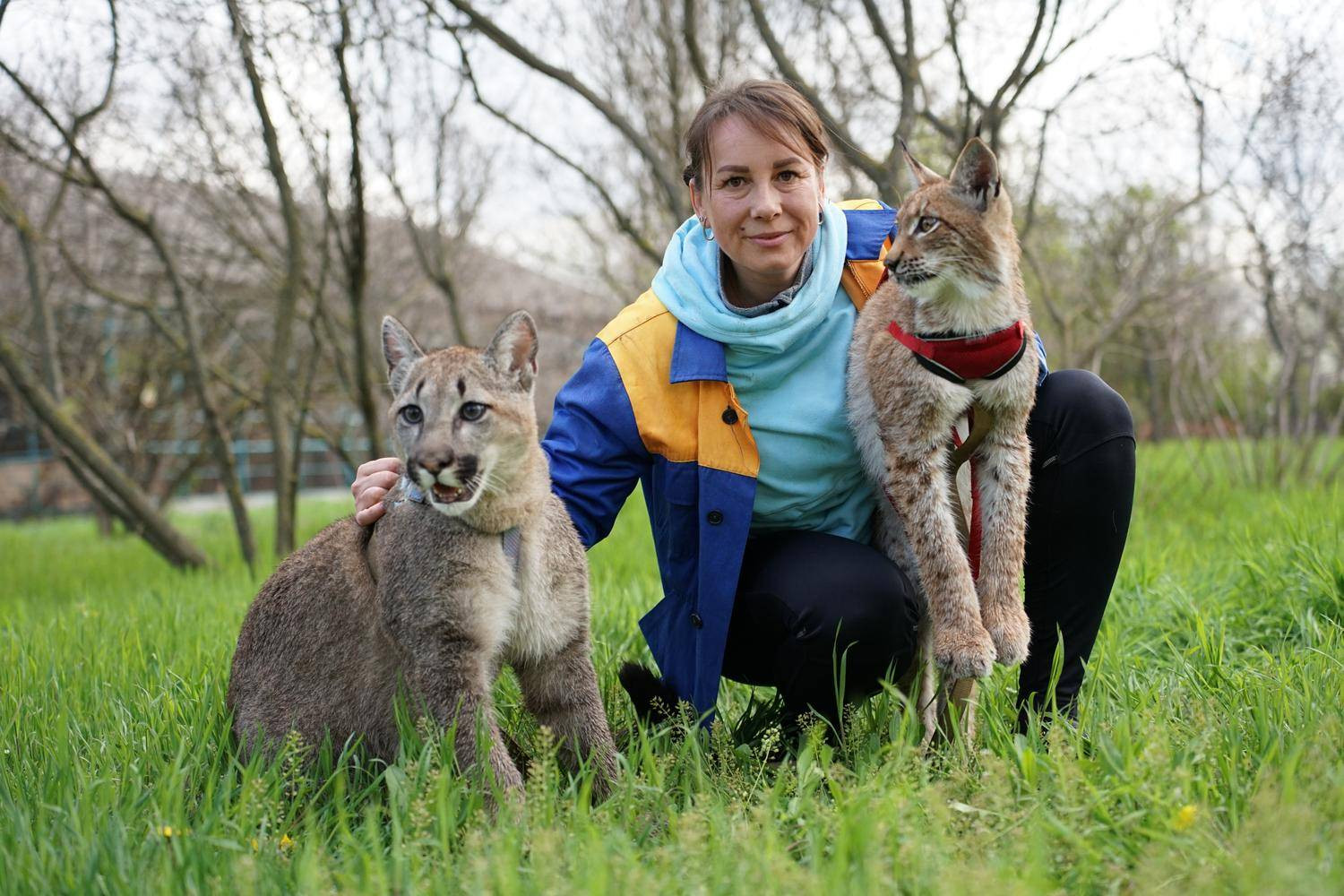 317164_69dd2230c69178_91221527