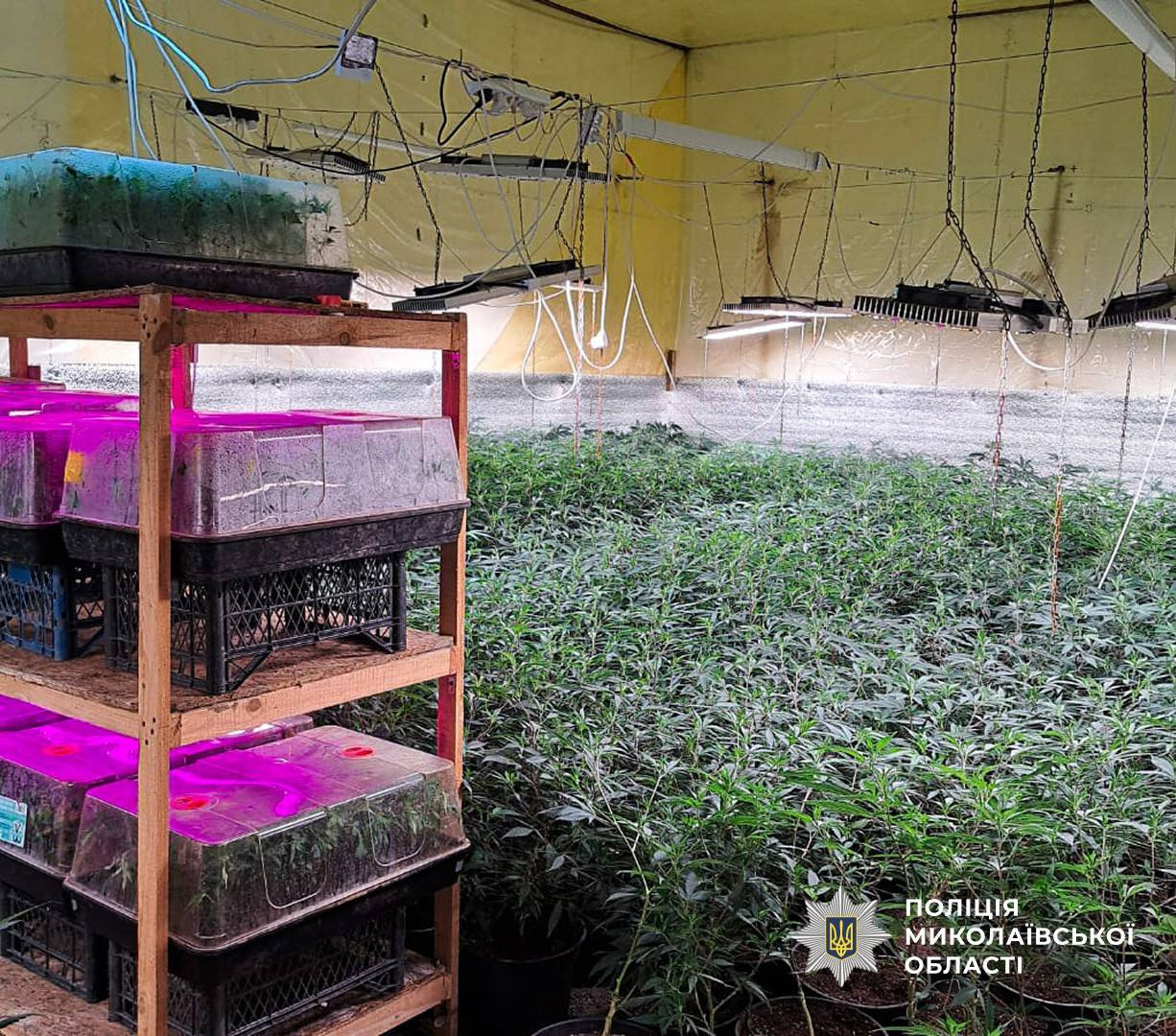 667234993_1267533352237645_770476501160083138_n