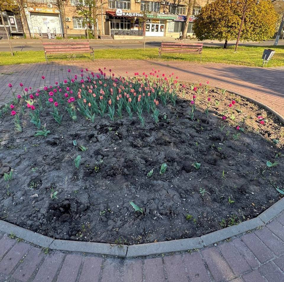 675316614_1259259809722792_8201837386074023772_n