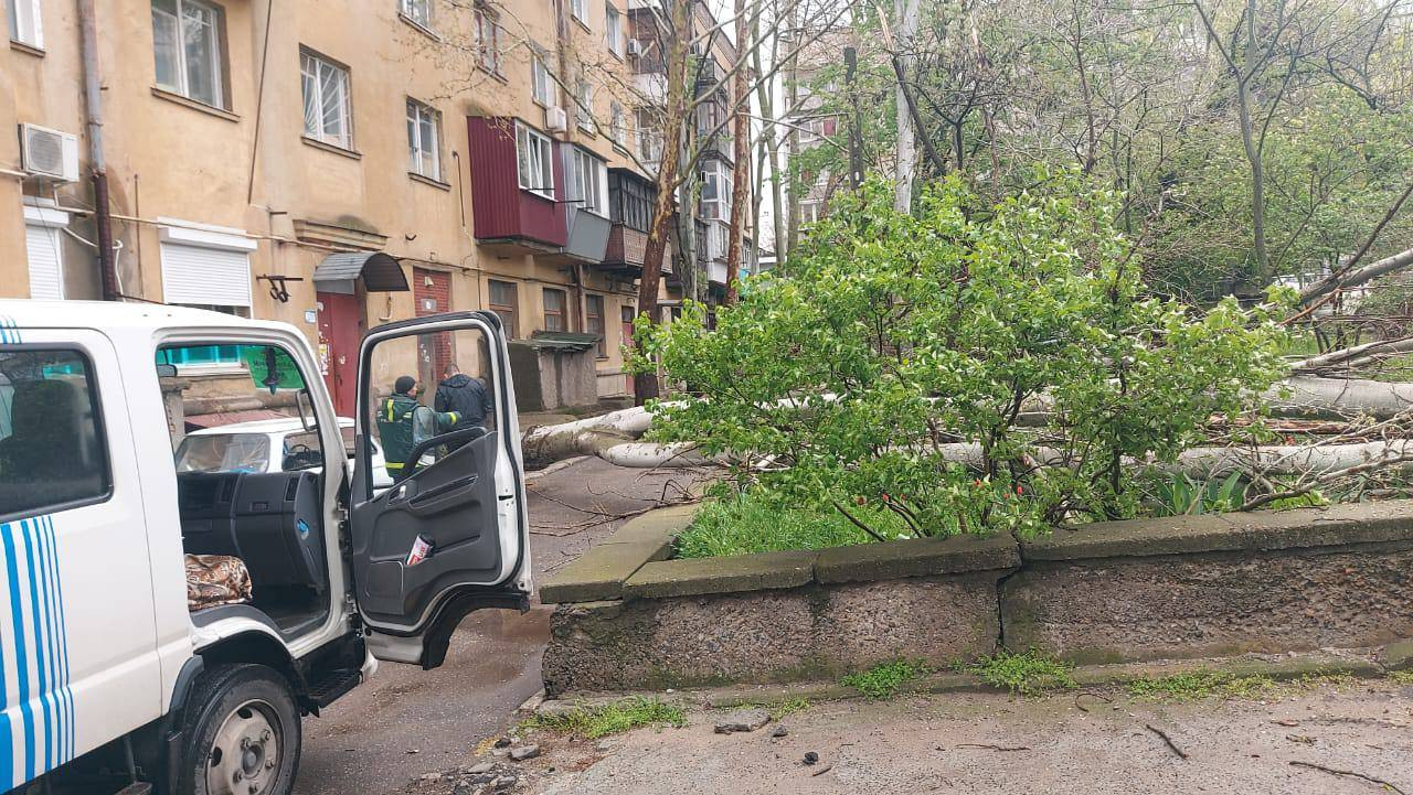 675587154_1259207886394651_4273448777101427024_n