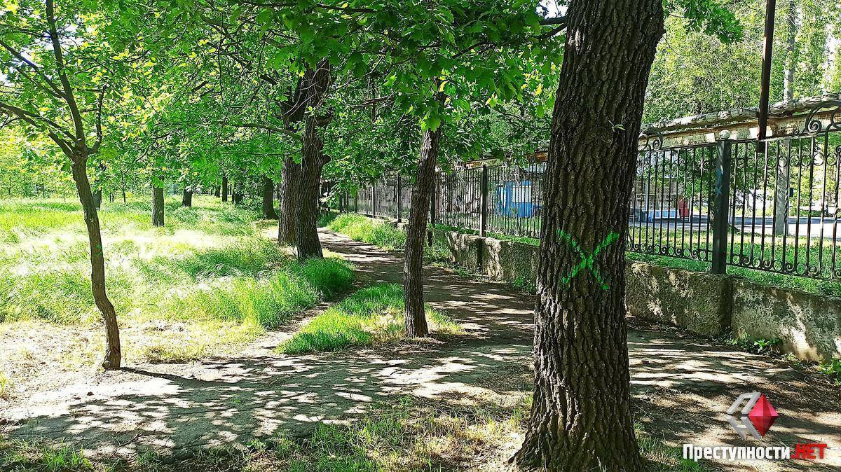 7ae16795d18f492c8965dbf3a44db0db.i999x999x670