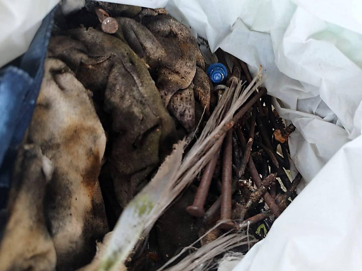 ace83c5561ba70f0d090794ac5176663.i999x999x670