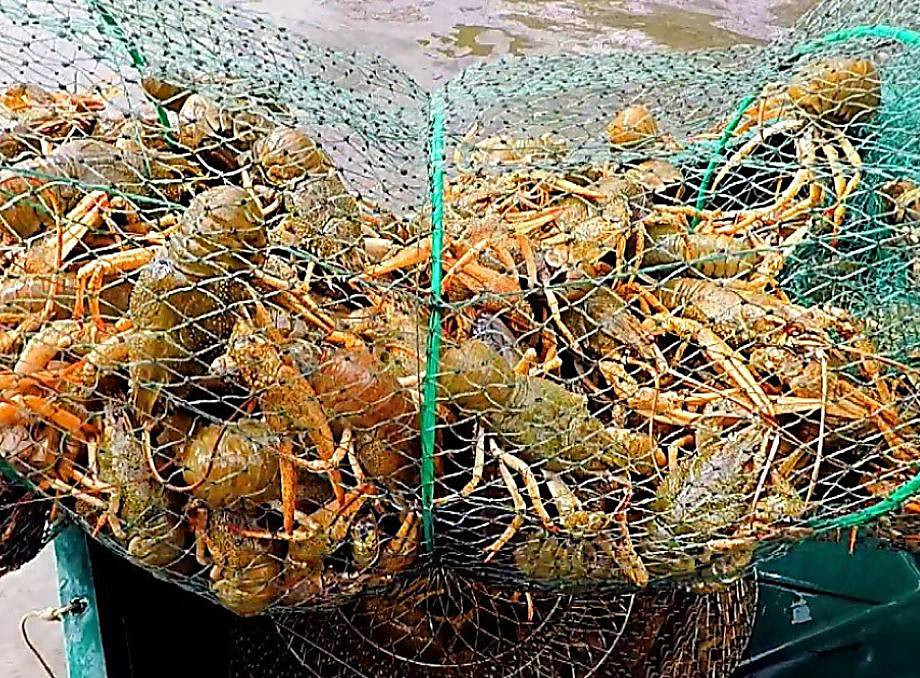 dcb32b1cb1c3fd2f69c462a32b203ce7.i999x999x670