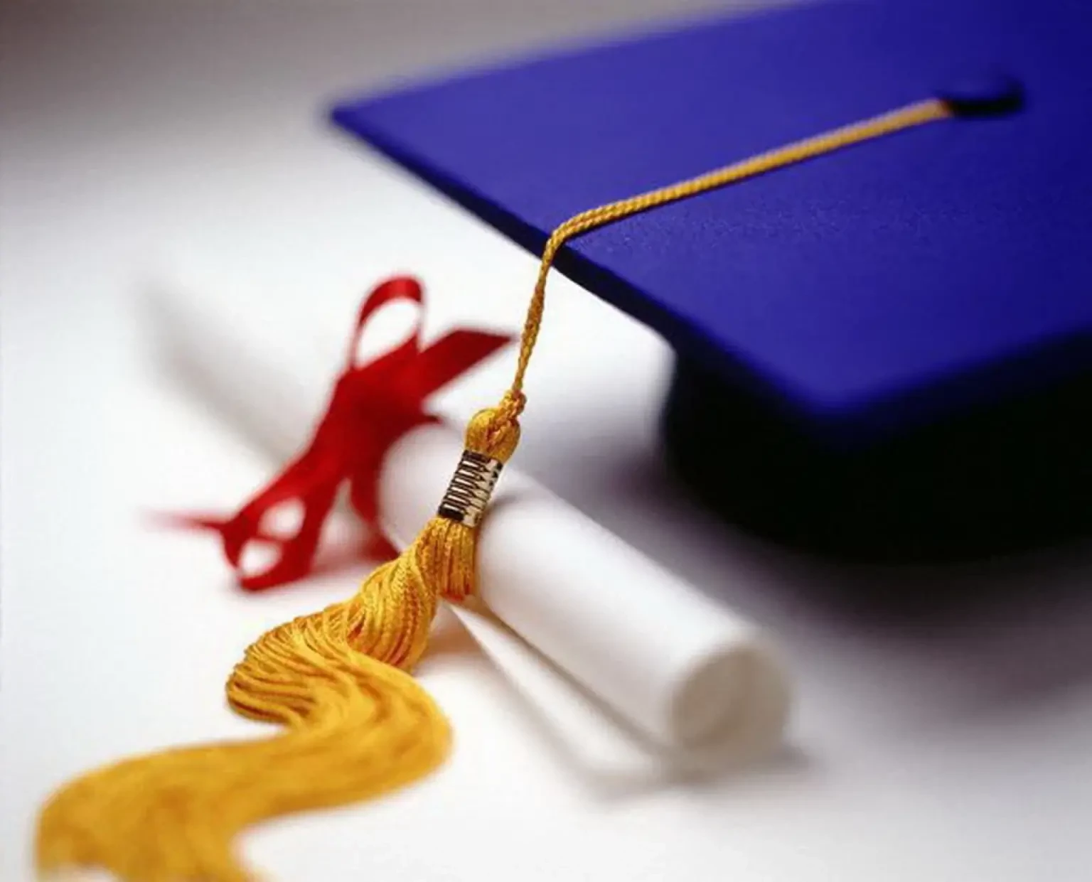 foto-extra-extra-large-1536x1241