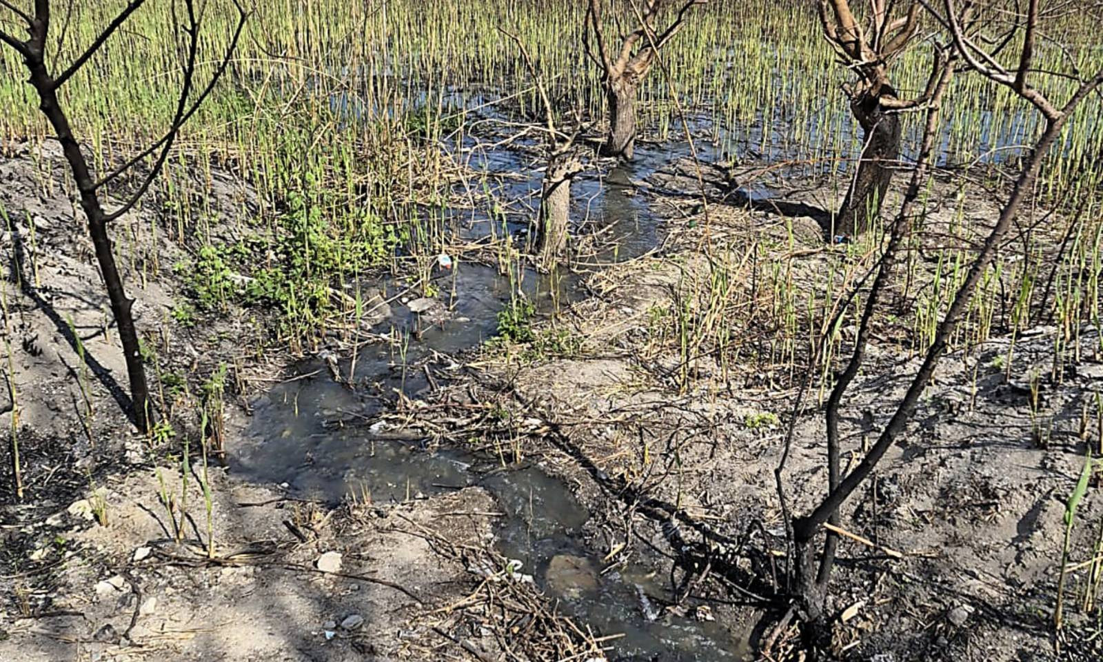 Снимок экрана 2026-04-27 в 15.59.07