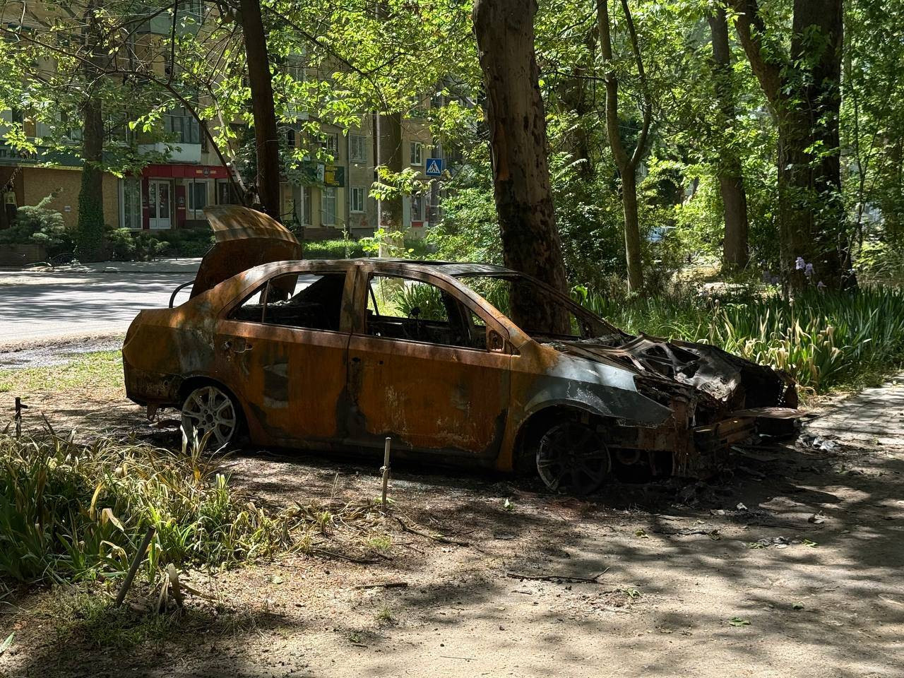 image-2026-05-27-191237