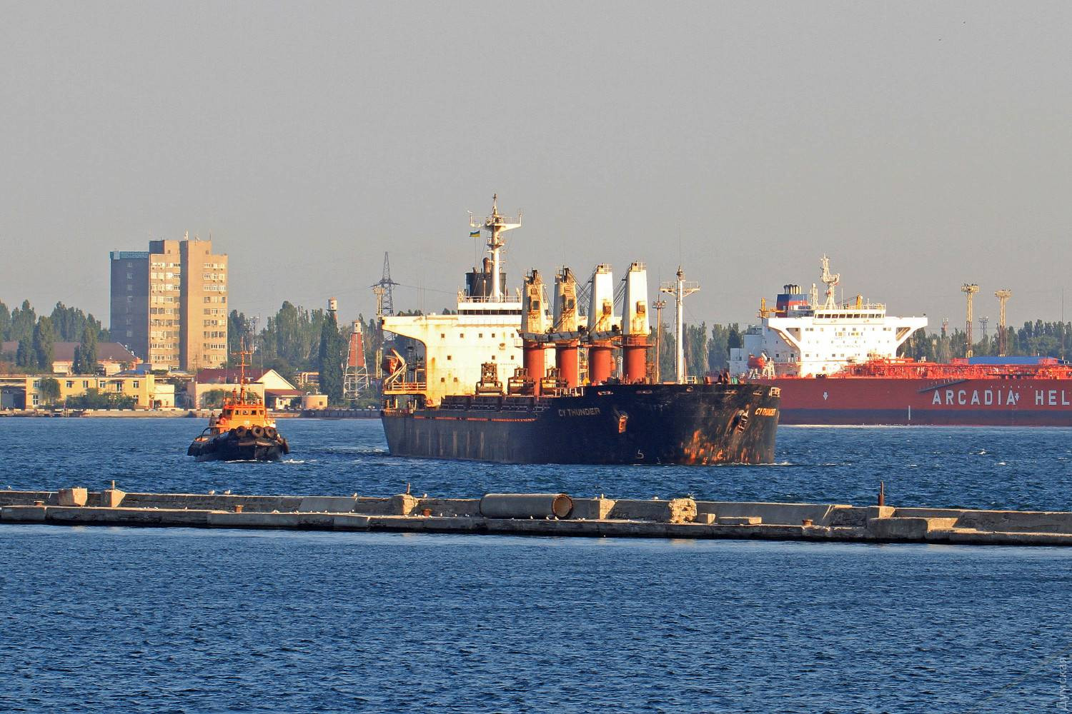 akson-shipping article shipovnik