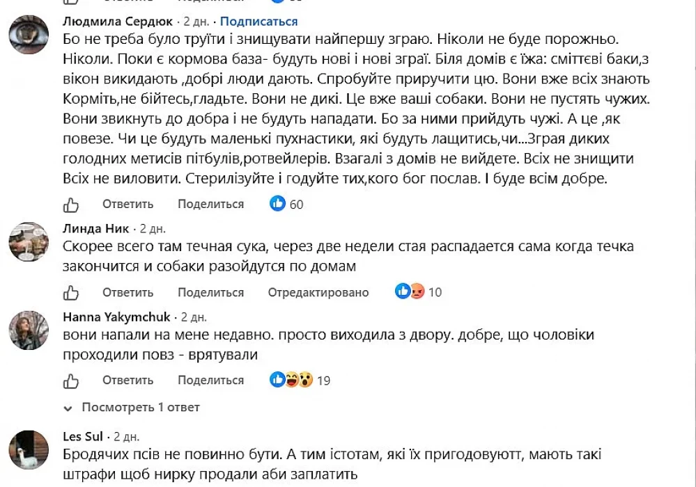 1015881.jpg
