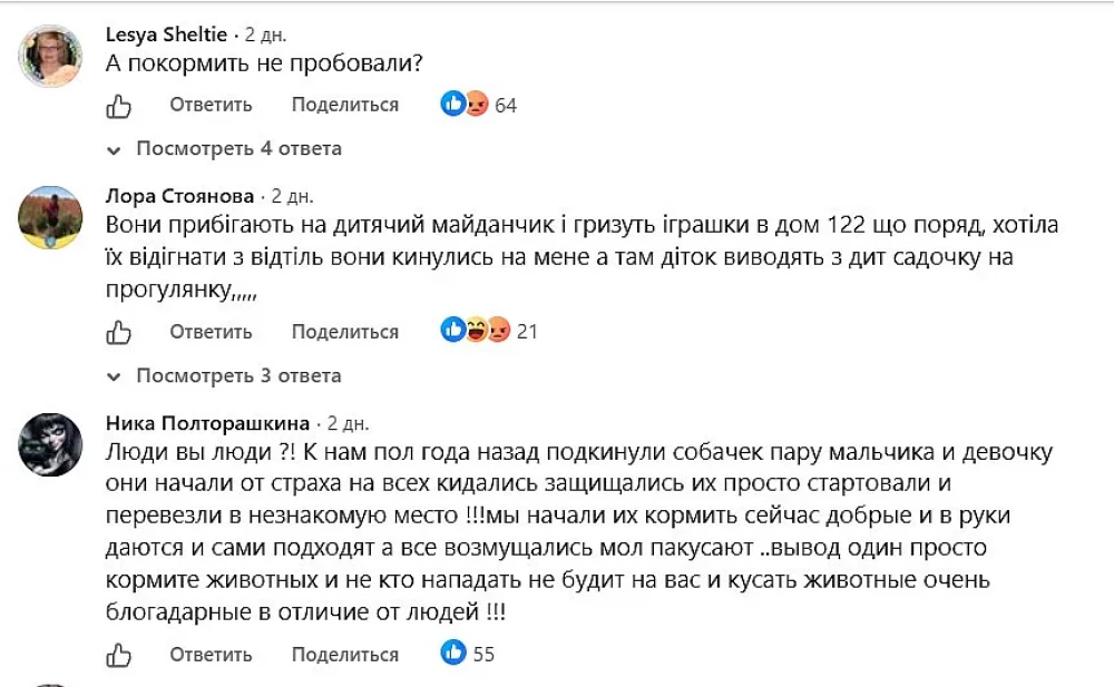 1015882.jpg