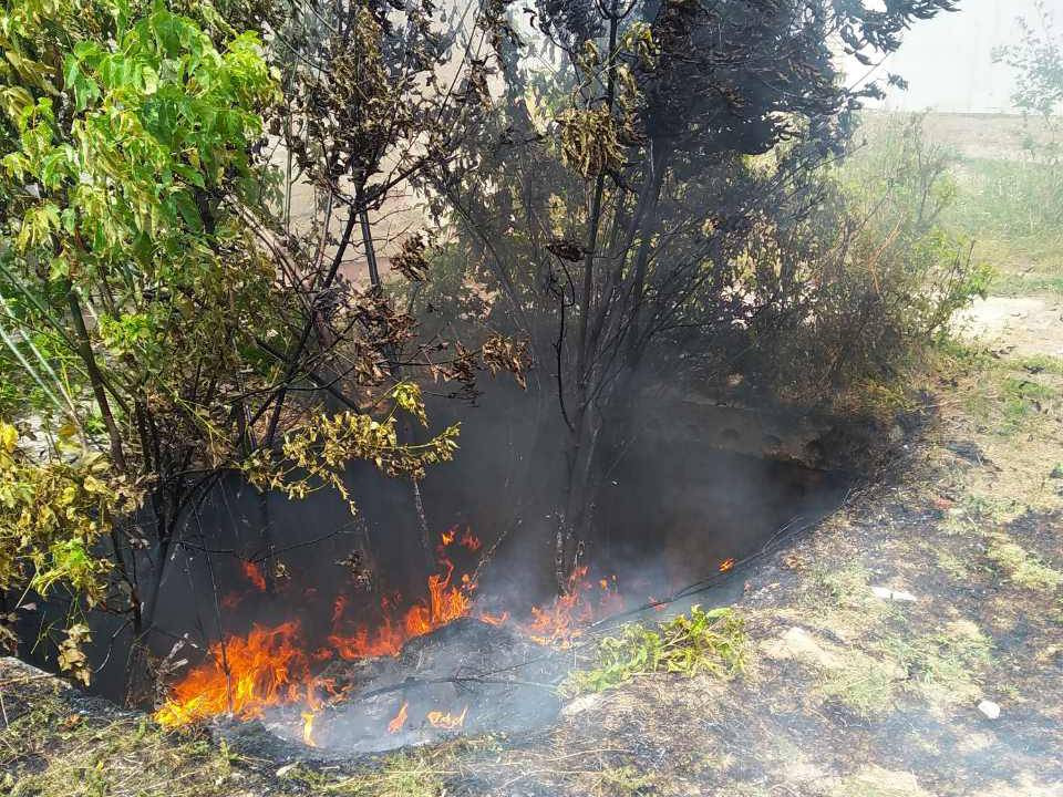 Фото Сгоревшего Мусора На Открытой Территории