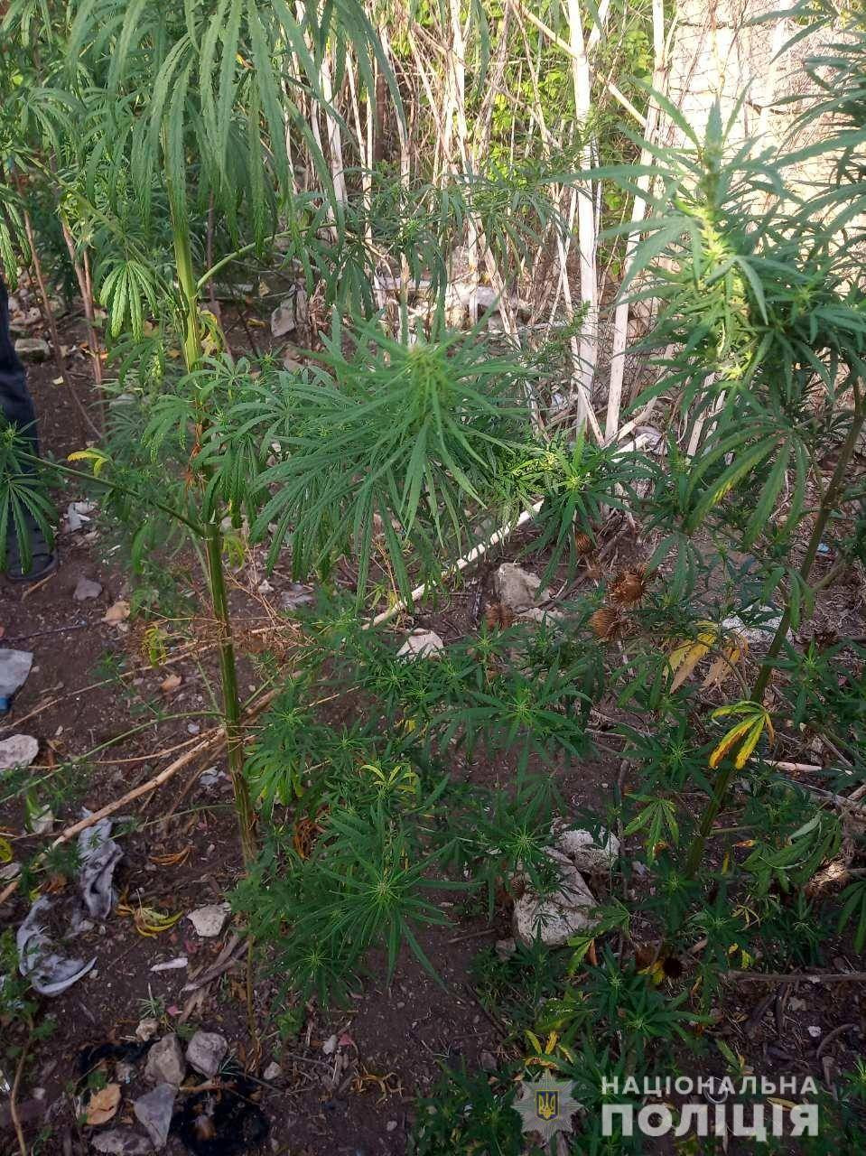 no4