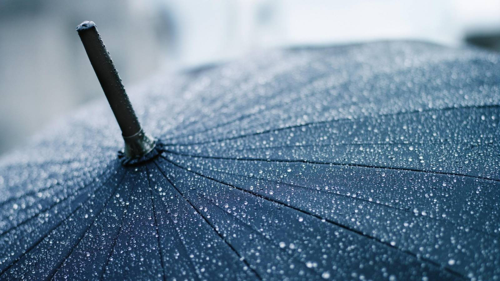 macro_drops_umbrella_rain_ultra_16x9