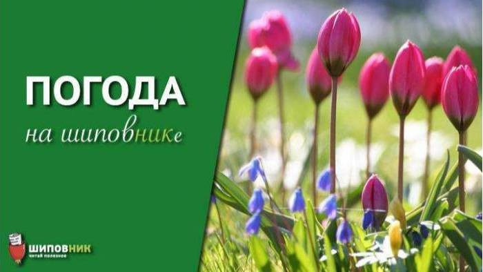 vesna_yasno-700x413_16x9_16x9
